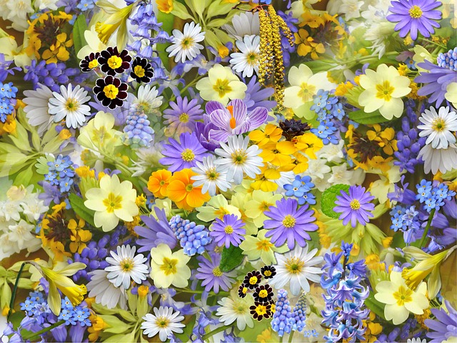 キキョウの花言葉 色で意味の違いは 実は切ない意味の花 Clover クローバー
