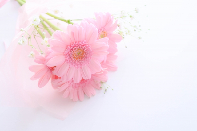 花言葉 平和 希望を意味する明るい花言葉を持つ花10選 Clover クローバー
